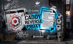 Featured image of post NPM to Caddy: Reverse Proxy Dozens of Containers