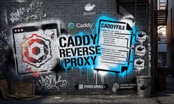 Featured image of post NPM to Caddy: Reverse Proxy Dozens of Containers
