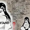 Master the Basics - The 10 Most Important Linux Commands and How to Use Them