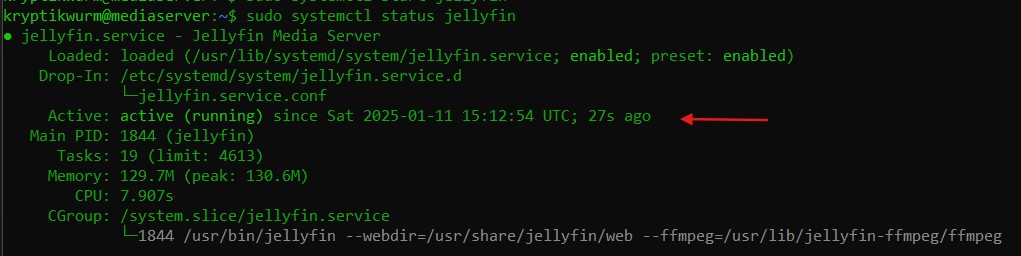 Jellyfin Service Image