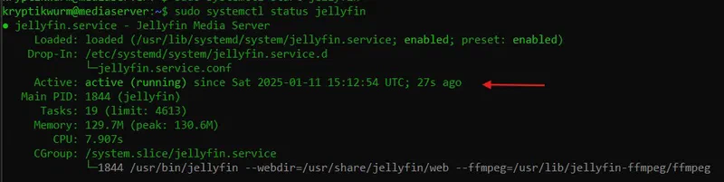Jellyfin Service Image
